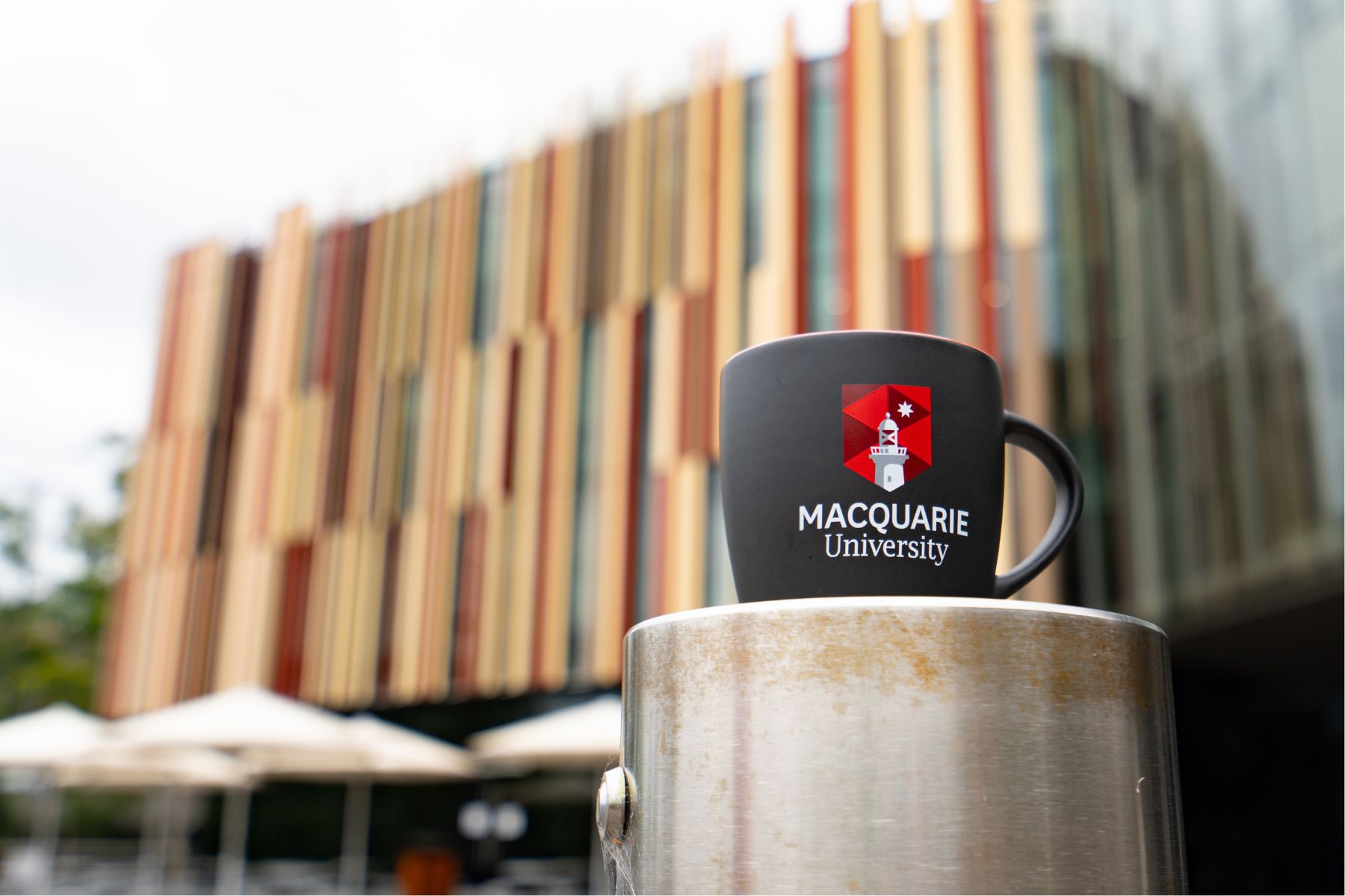 Academic integrity module for staff foundation teche